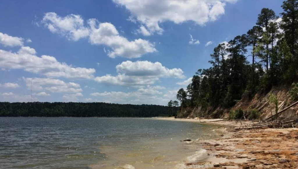 Lake Sam Rayburn jigsaw puzzle in Valerie M Griffin puzzles on TheJigsawPuzzles.com