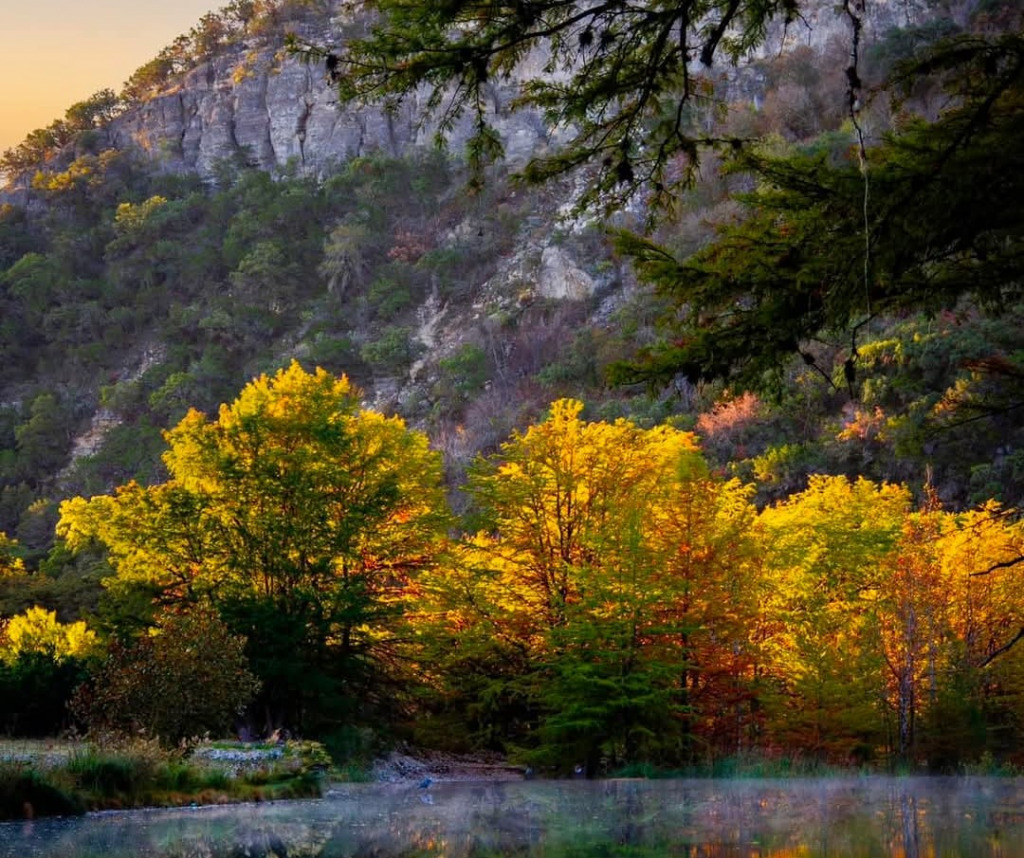 Looks Like Lost Maples jigsaw puzzle in Valerie M Griffin puzzles on TheJigsawPuzzles.com