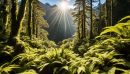 Fiordland-National-Park-puzzle