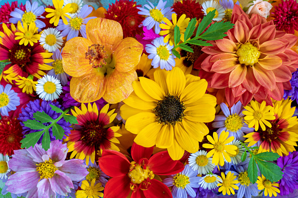 Schöne und bunte Blumen jigsaw puzzle in Blumen puzzles on TheJigsawPuzzles.com