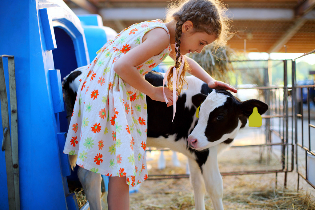 On a Cow Farm on a Summer Day jigsaw puzzle in Animals puzzles on TheJigsawPuzzles.com