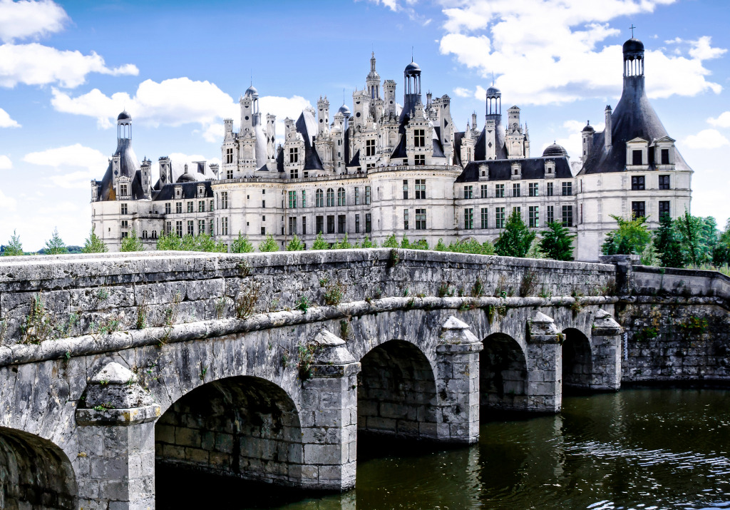 Château Chambord, Loir et Cher, France jigsaw puzzle in Châteaux puzzles on TheJigsawPuzzles.com