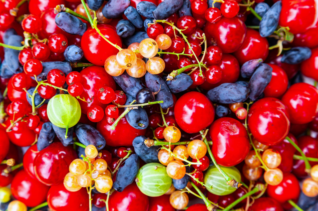 Ripe Summer Berries Close-Up jigsaw puzzle in Fruits & Veggies puzzles on TheJigsawPuzzles.com