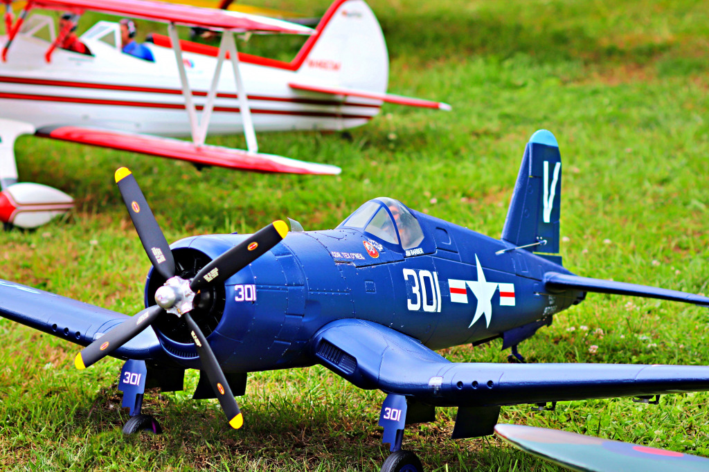 Airshow of Aircraft Models, Jaslo, Poland jigsaw puzzle in Aviation puzzles on TheJigsawPuzzles.com