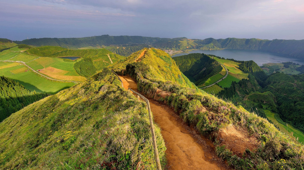 Screenshot 2025-02-12 060933 jigsaw puzzle in Carol Bush puzzles on TheJigsawPuzzles.com