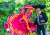 Mariachi and Charros Festival, Guadalajara, Mexico