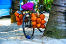 Tropical Fruits on a Tropical Beach in Sri Lanka