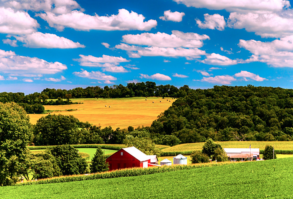 Farm Fields in York County, Pennsylvania jigsaw puzzle in Puzzle of the Day puzzles on TheJigsawPuzzles.com