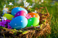 Easter Eggs in a Nest