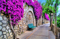 Vibrant Flower-Draped Pathway in Capri, Italy