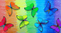 Multicolored Butterflies