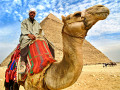 Camel Driver on the Giza Plateau, Cairo, Egypt