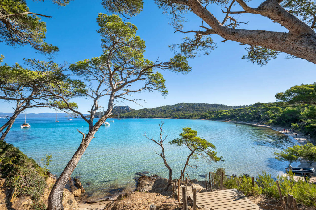 031j-detail jigsaw puzzle in finferlo puzzles on TheJigsawPuzzles.com