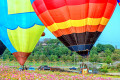 Balloon Fiesta, Singha Park, Thailand