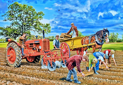Planting Potatoes jigsaw puzzle in Piece of Art puzzles on