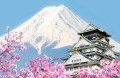 Osaka Castle and Mount Fuji, Japan