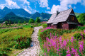 Mountain Hut in the Tatras, Zakopane, Poland