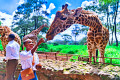 Karen Giraffe Centre, Nairobi, Kenya