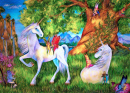 Unicorns and Elves in a Fairy Forest