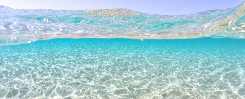 Co-Quaddus-1 jigsaw puzzle in finferlo puzzles on TheJigsawPuzzles.com