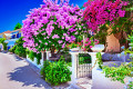 House with Bougainvillea