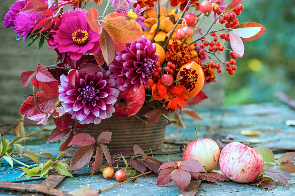 Floral Arrangement with Dahlias and Apples jigsaw puzzle in Puzzle of the Day puzzles on TheJigsawPuzzles.com
