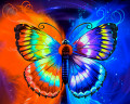 Illustration of a Beautiful Butterfly