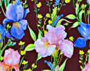 Seamless Pattern with Irises on a Black Background