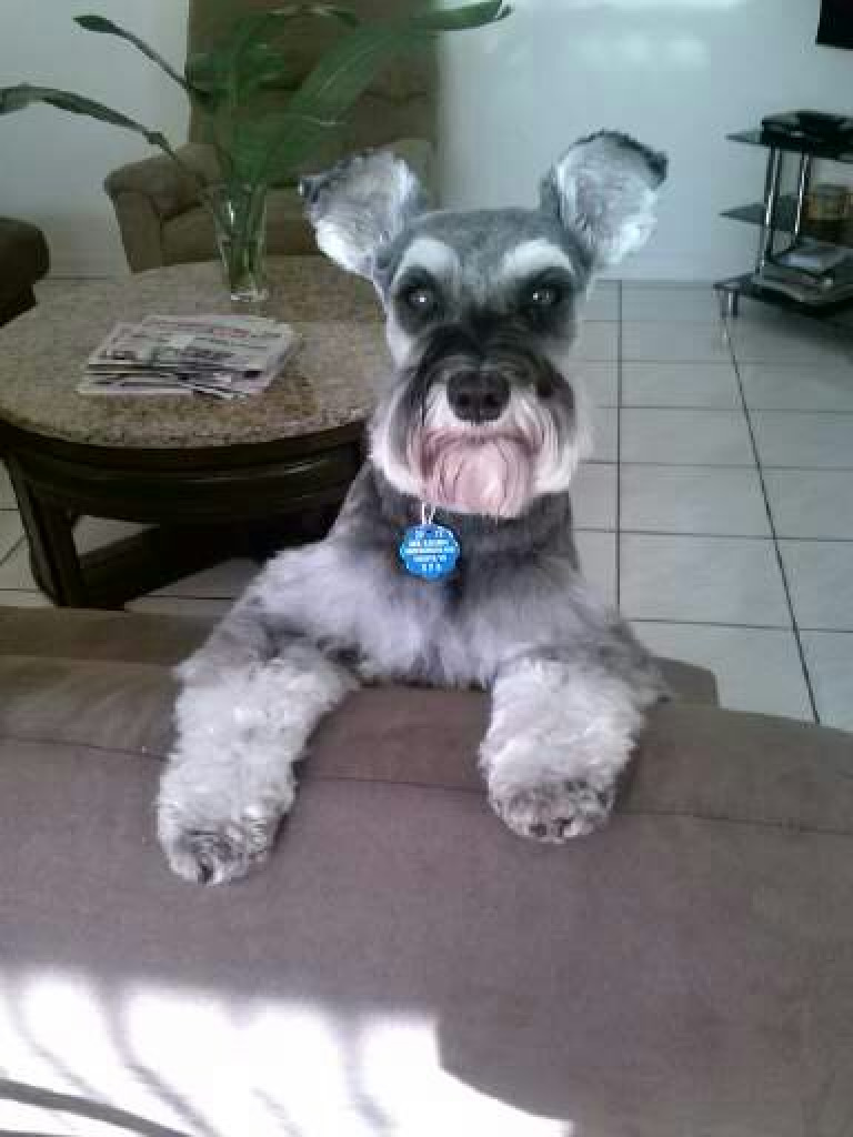 1497562662565 jigsaw puzzle in Mo Meeker puzzles on TheJigsawPuzzles.com