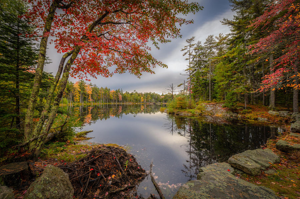 ice-pond-near-georgetown-maine- jigsaw puzzle in Ralph Steele puzzles on TheJigsawPuzzles.com