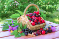 Berries in a Basket