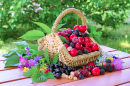 Berries in a Basket