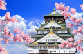 Cherry Blossoms and Osaka Castle, Japan