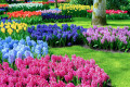 Fabulous Garden in Keukenhof, the Netherlands