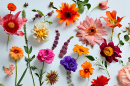 Composition of Flowers and Herbs