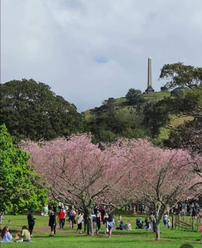 download (44) jigsaw puzzle in JOHN MACDONALD puzzles on TheJigsawPuzzles.com