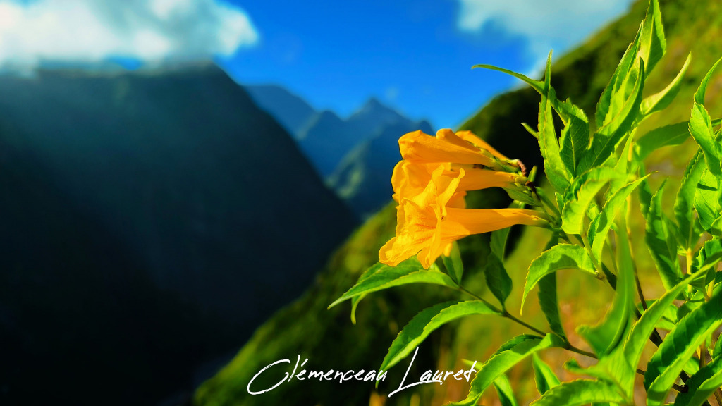 493137178_714068821088636_2542157308177515773_n jigsaw puzzle in emilie10 puzzles on TheJigsawPuzzles.com