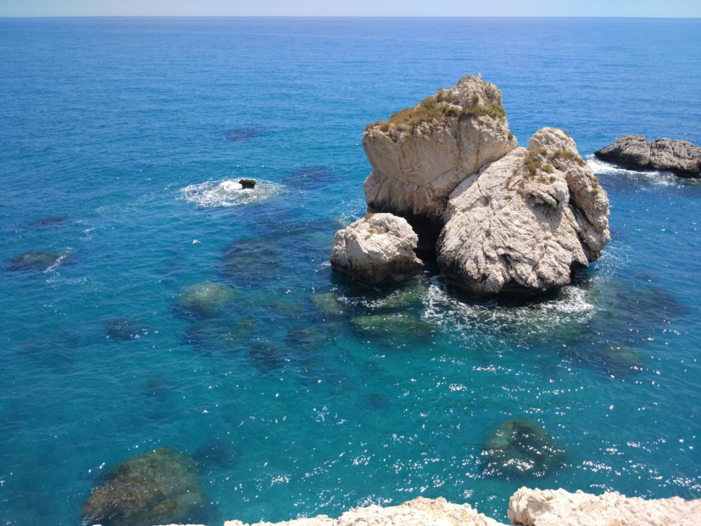 20190720 jigsaw puzzle in finferlo puzzles on TheJigsawPuzzles.com