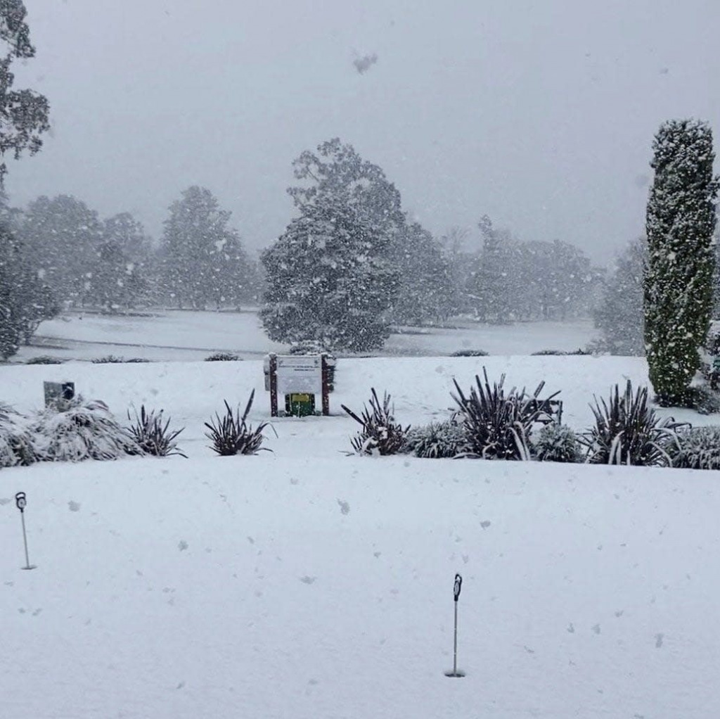 Aussie blizzard jigsaw puzzle in Mike Smith puzzles on TheJigsawPuzzles.com