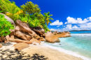 Tropical Landscape of Felicite Island, Seychelles
