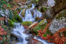 A Waterfall in the Mountains in Late Autumn