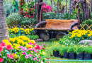 A Wooden Bench in the Flower Garden