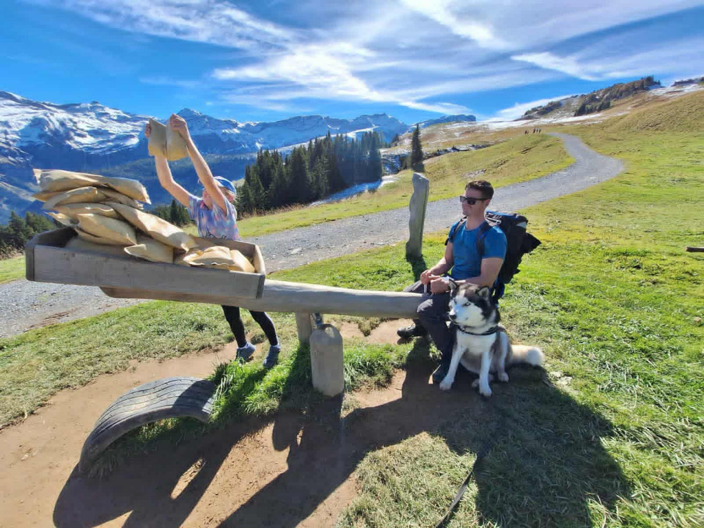 download (12) jigsaw puzzle in JOHN MACDONALD puzzles on TheJigsawPuzzles.com