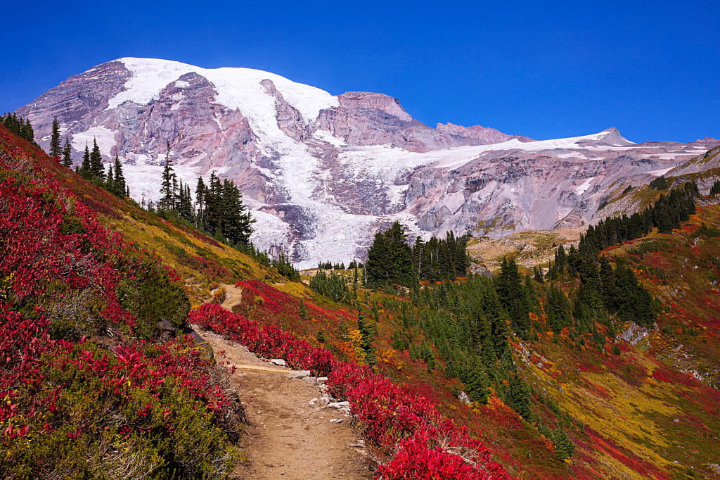 Hiking Trail in Mt. Rainier National Park, WA, USA jigsaw puzzle in Great Sightings puzzles on TheJigsawPuzzles.com