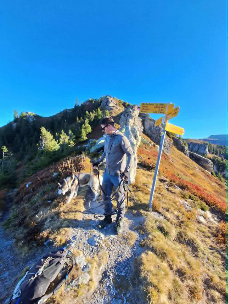 download (13) jigsaw puzzle in JOHN MACDONALD puzzles on TheJigsawPuzzles.com