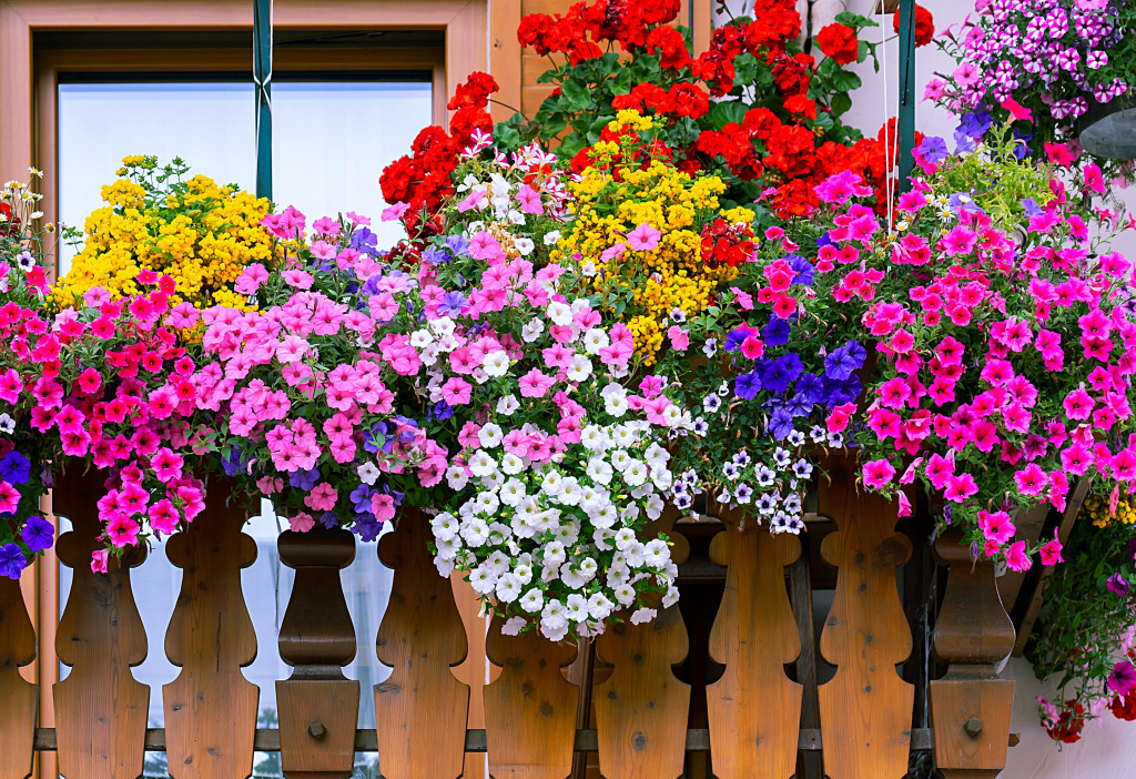 Traditional Balcony with Flowers in the Alps jigsaw puzzle in Flowers puzzles on TheJigsawPuzzles.com