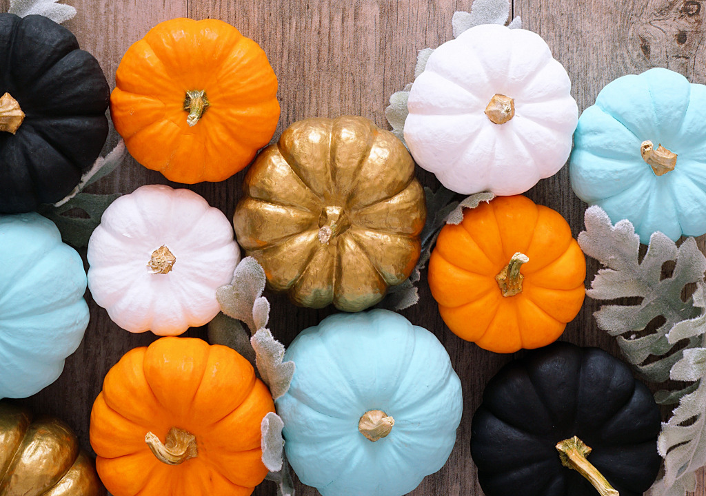 Colorful Pumpkins and Silver Leaves jigsaw puzzle in Fruits & Veggies puzzles on TheJigsawPuzzles.com