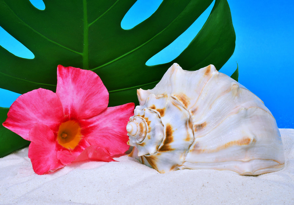 Island Vacation Concept jigsaw puzzle in Macro puzzles on TheJigsawPuzzles.com