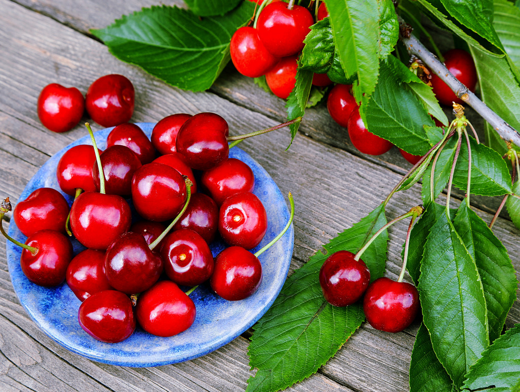 Cherries on a Blue Plate on a Table in the Garden jigsaw puzzle in Fruits & Veggies puzzles on TheJigsawPuzzles.com