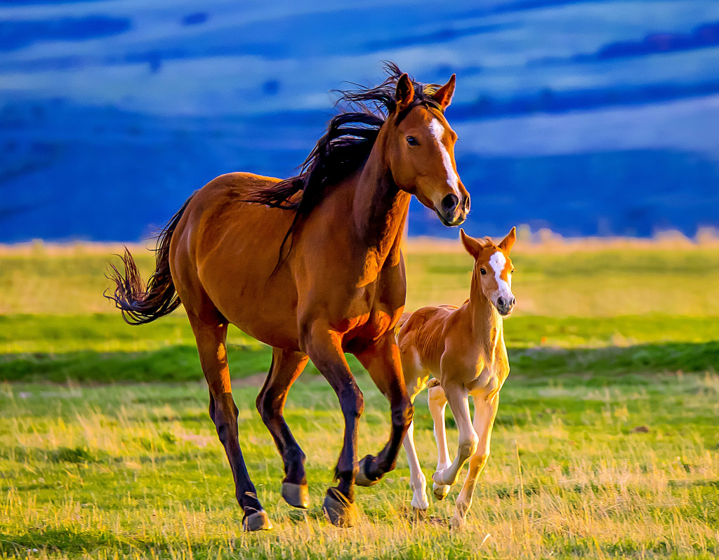 A Beautiful Brown Mare and her Cute Little Foal jigsaw puzzle in Animals puzzles on TheJigsawPuzzles.com